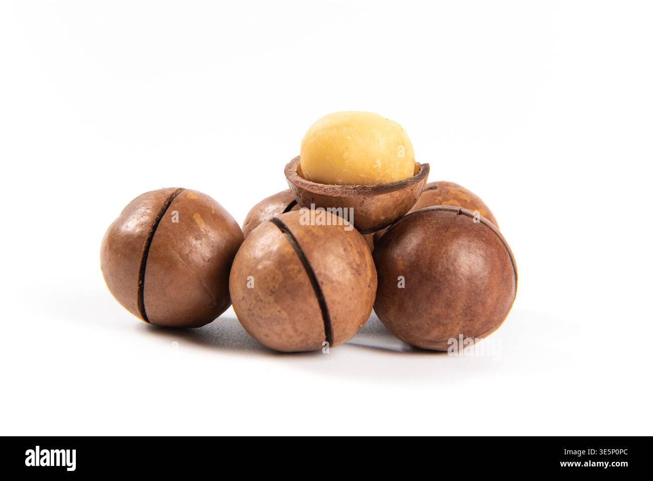Macadamia nuts with one kernel removed from its shell on white background Stock Photo