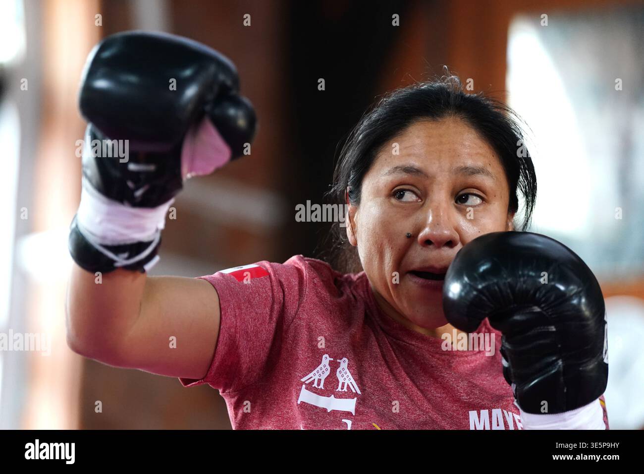 Mayelli Mayelli Flores during a workout at All Stars Boxing Gym, London ...