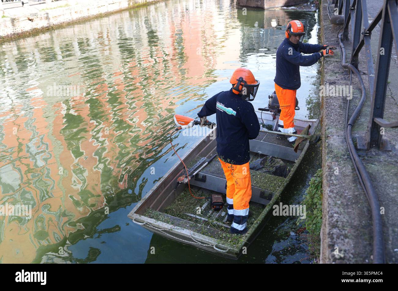 Milan. Sanitary workers are working to clear the overgrown vegetation ...