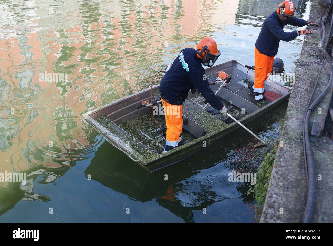 Milan. Sanitary workers are working to clear the overgrown vegetation ...