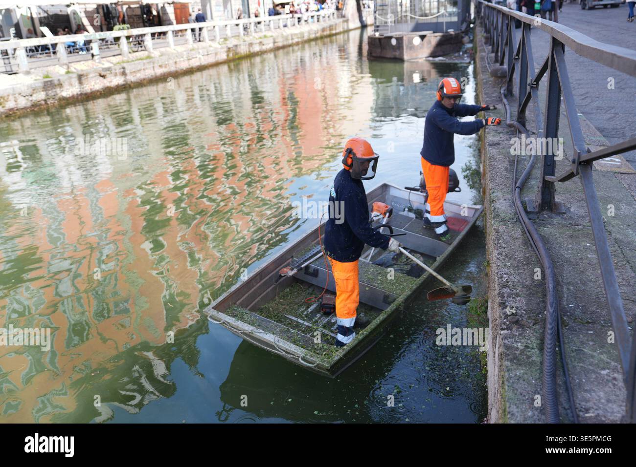 Milan. Sanitary workers are working to clear the overgrown vegetation ...