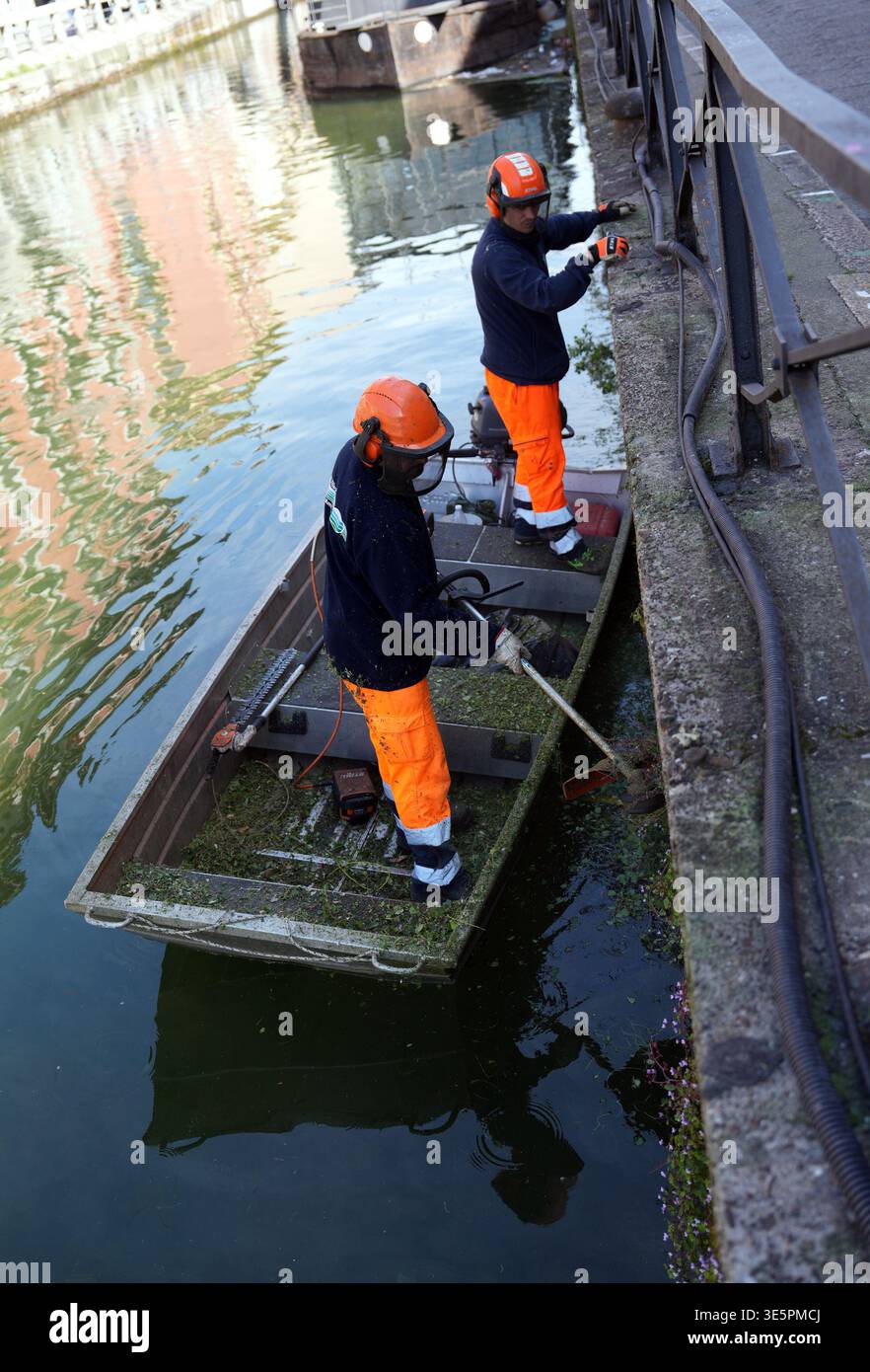 Milan. Sanitary workers are working to clear the overgrown vegetation ...