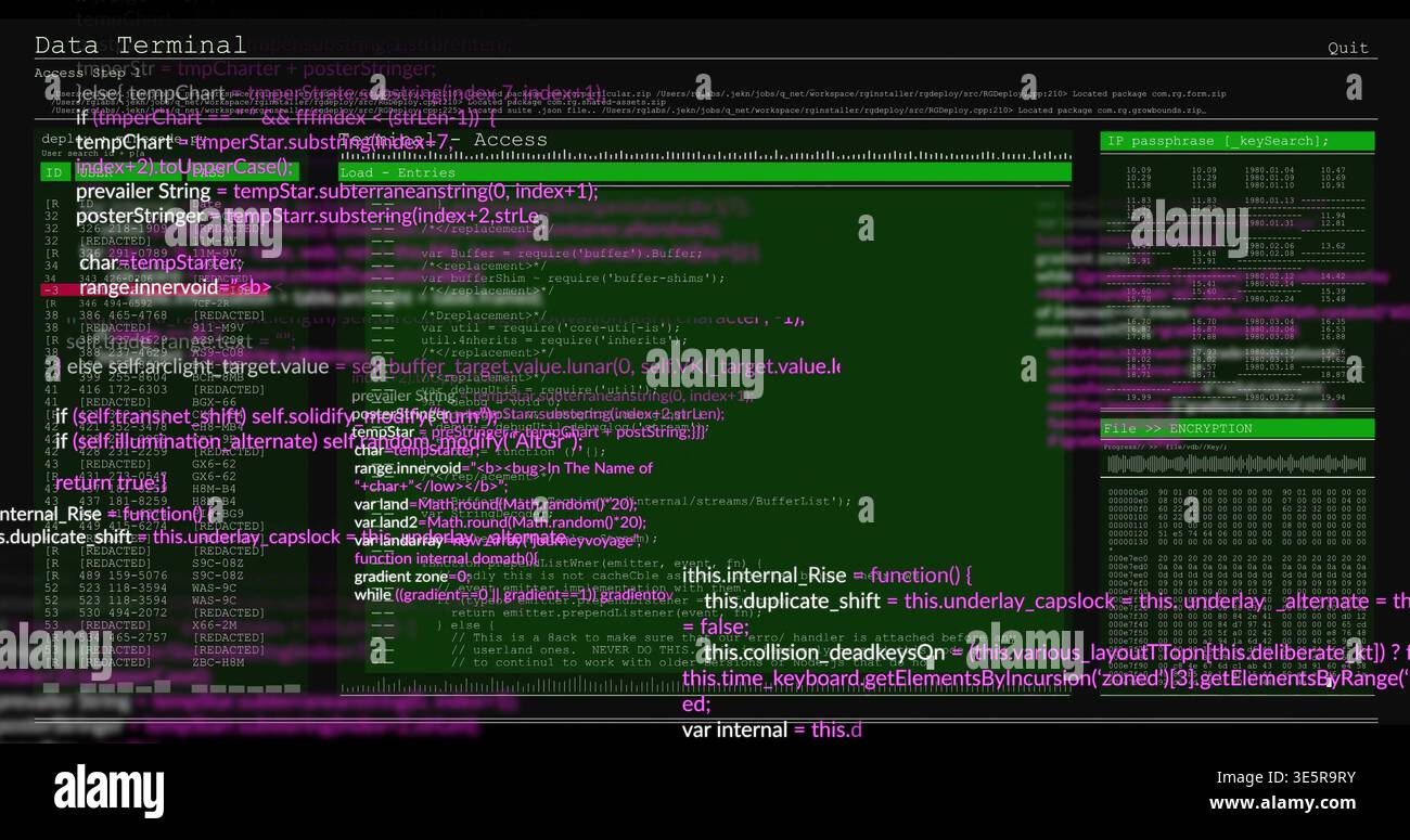 Displaying terminal GUI on screen, showing code panes, passphrase panel and ENCRYPTION block Stock Photo