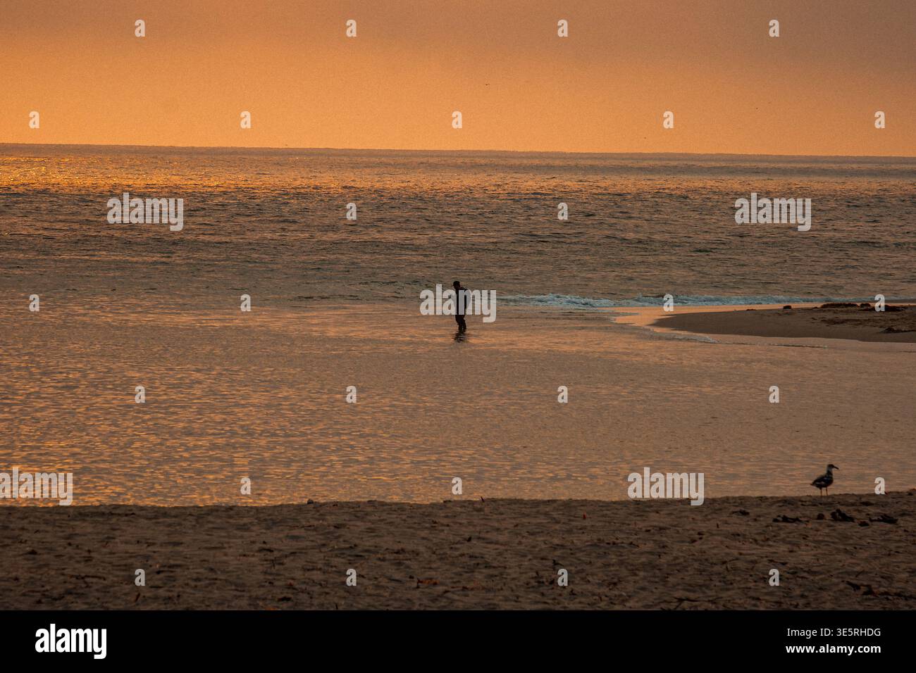 Peaceful tranquil beach scene unfolds hi-res stock photography and ...