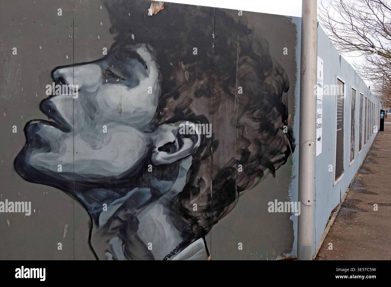 Large portrait mural on Dundee Waterfront near the River Tay, Dundee, Scotland, UK. Stock Photo