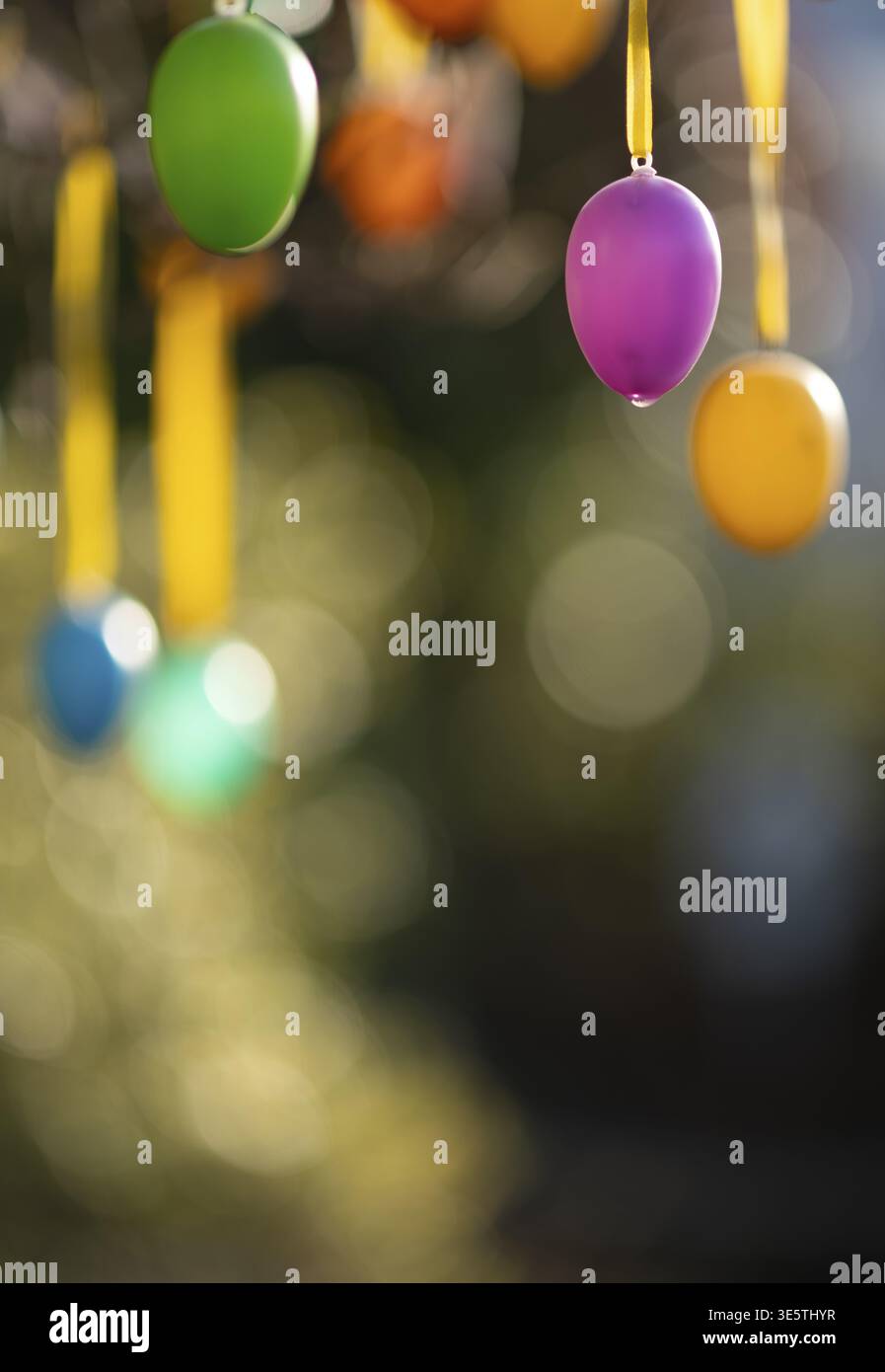 Colourful Easter eggs hang on tree, Easter tree, Easter bush, decorated, Easter decoration, Fellbach, Baden-Wuerttemberg, Germany Stock Photo