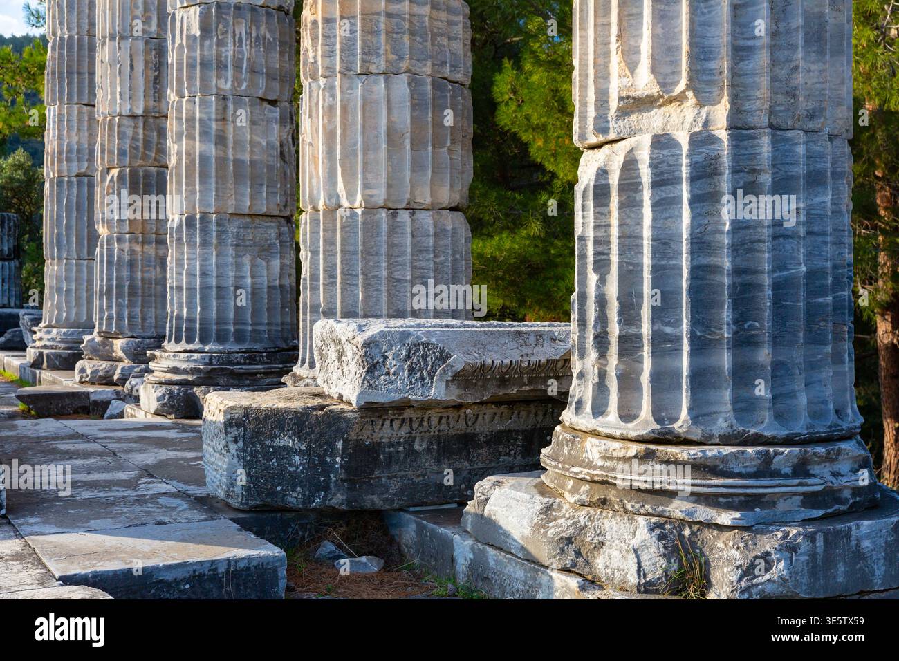 Colums Parts Architectural elements and parts of columns of Temple of Athena in ...
