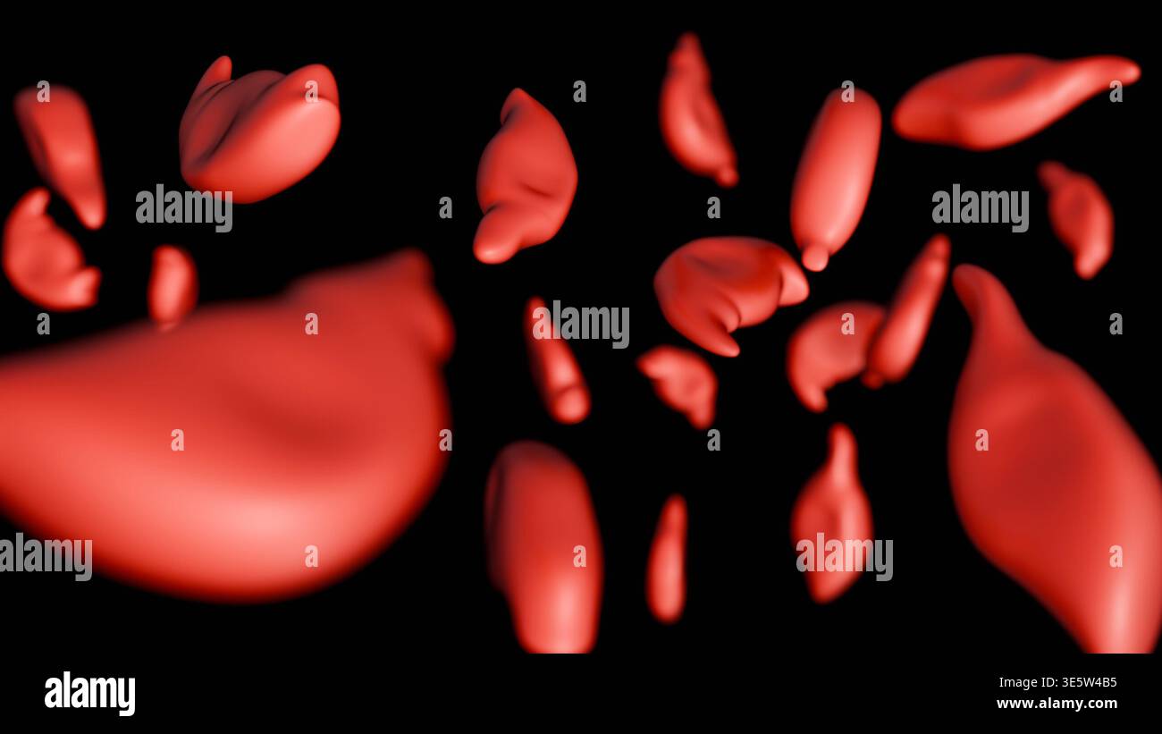 3D medical illustration of schistocytes: fragmented, irregular red ...