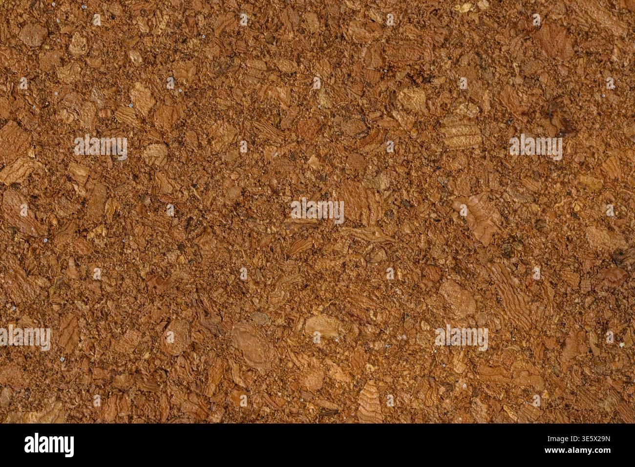 Cork board close-up macro texture Stock Photo