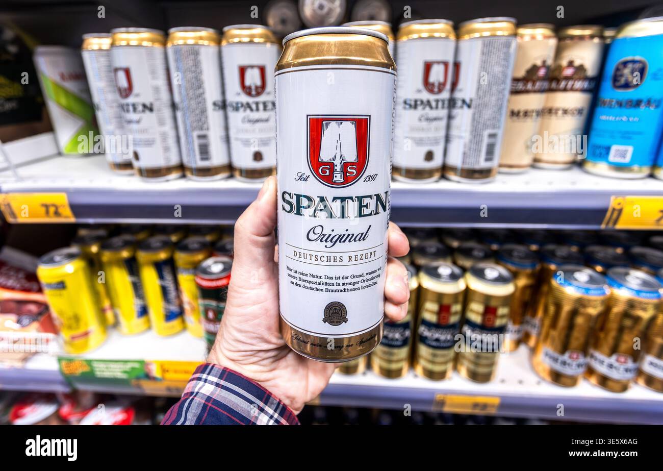 Samara, Russia - June 8, 2025: Spaten canned alcoholic beer in the hand. Alcoholic beverages and spirit drinks Stock Photo