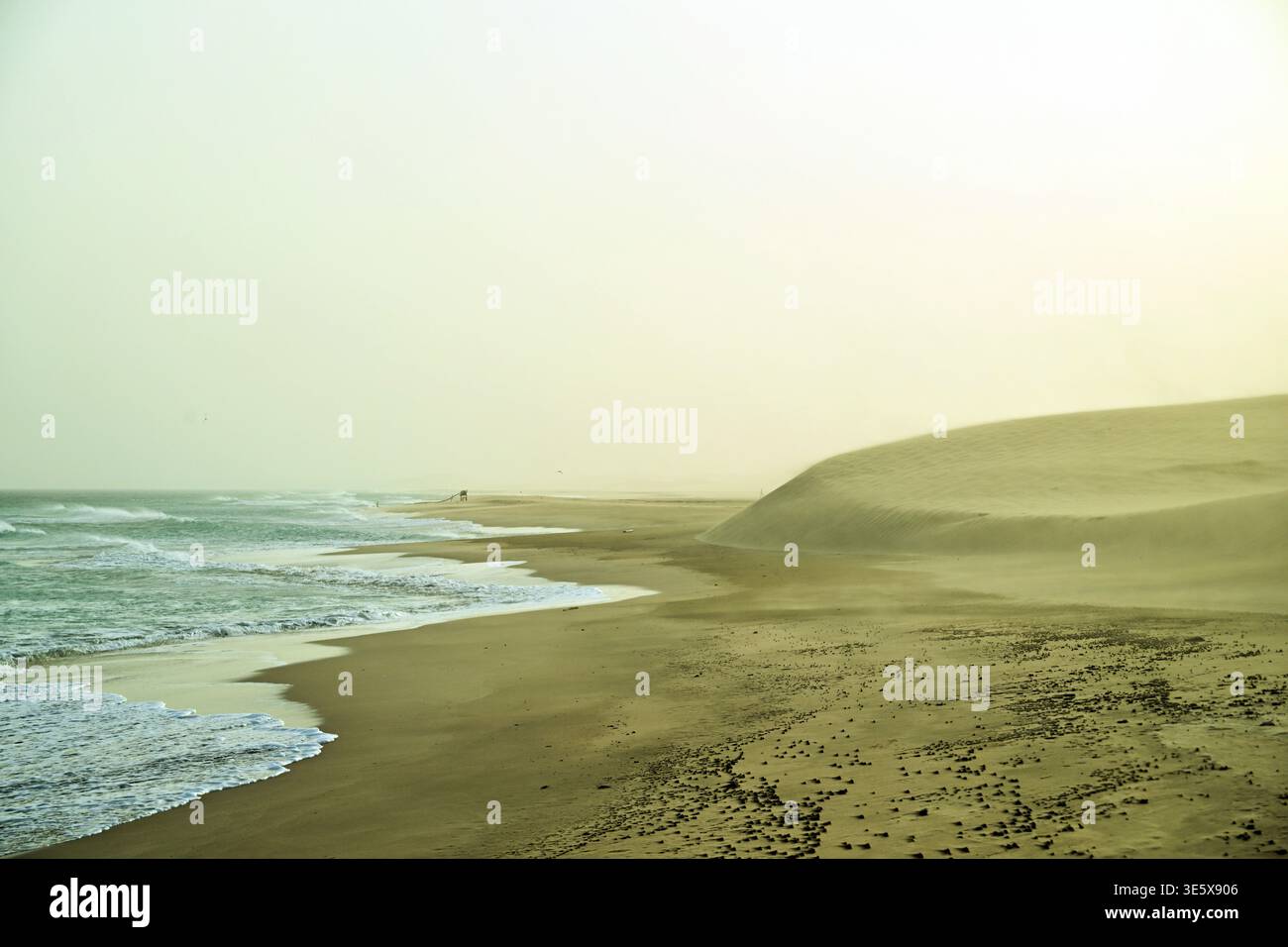 Qatar: desert near Sealine Beach and seaside with a fine-sand beach on the Persian Gulf Stock Photo