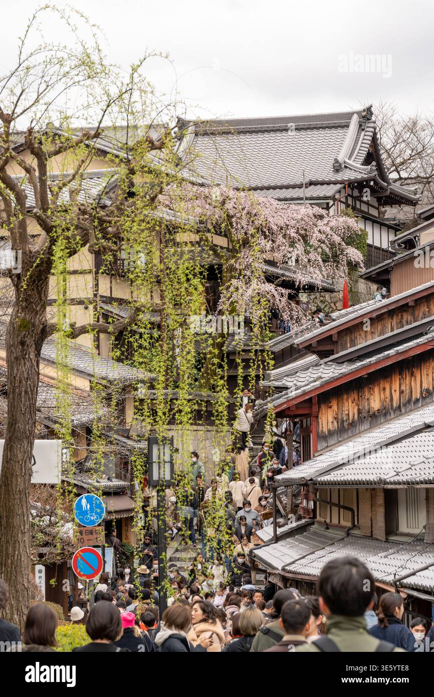 kyototakenaka Kyoto, Japan - March 18 2023 : Sannenzaka cherry blossoms