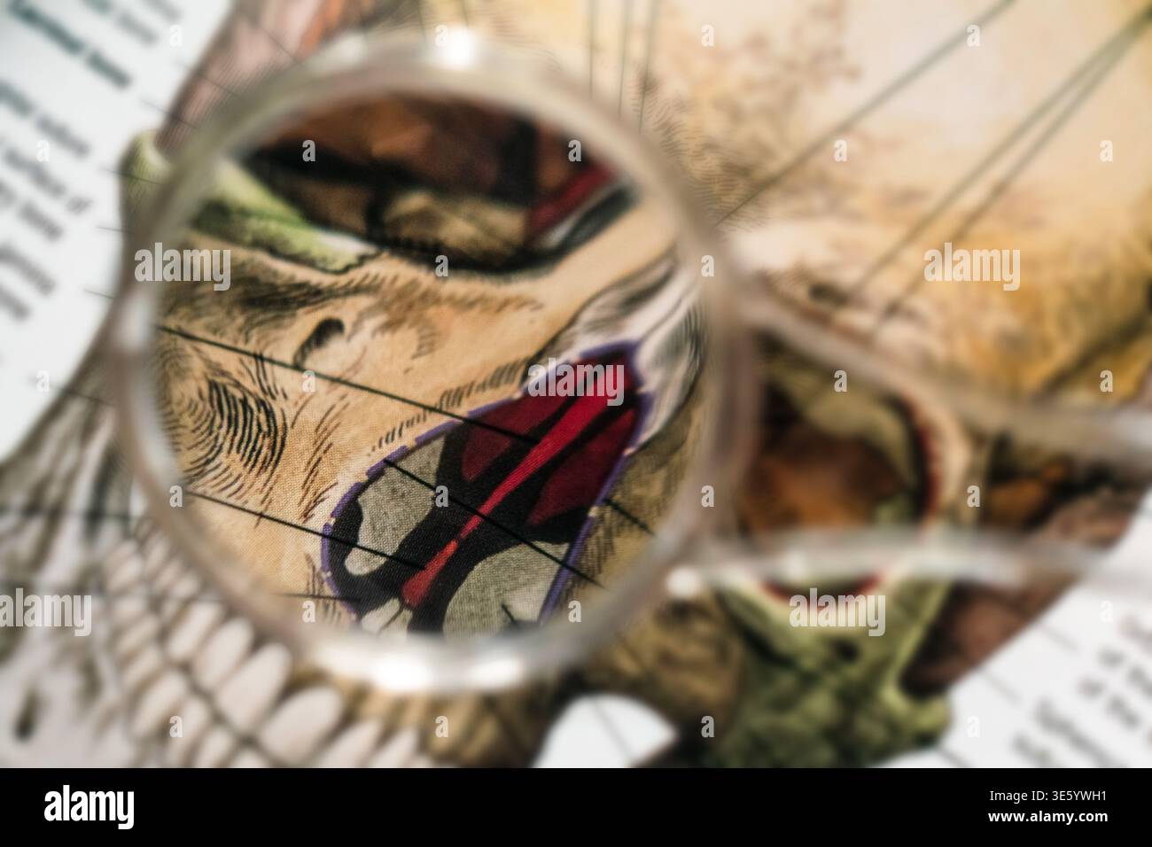 Magnifier Structure Magnifier focusing on nasal structure in human skull diagram Stock ...