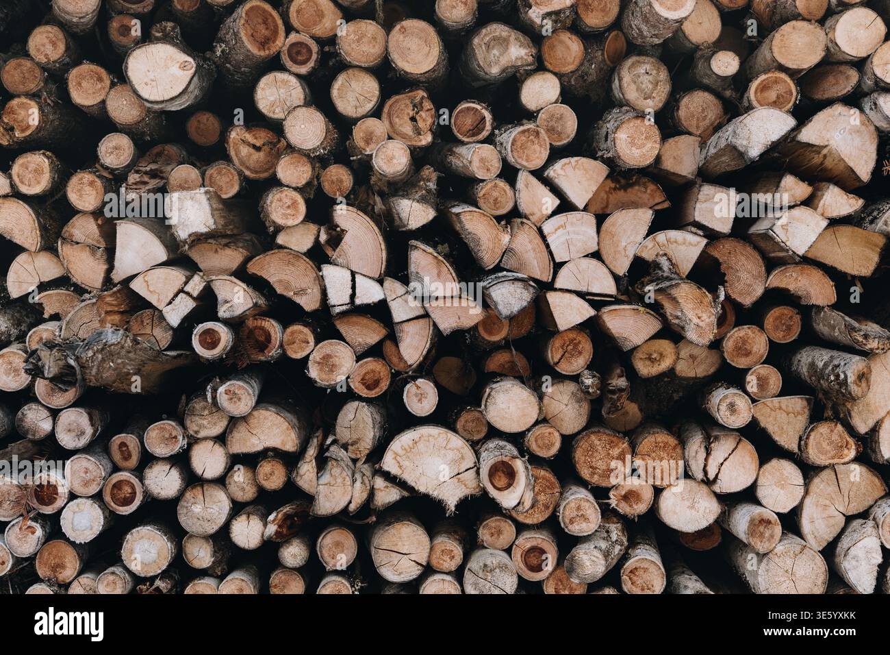 Stacked Firewood Logs Background Natural Timber Texture Stock Photo
