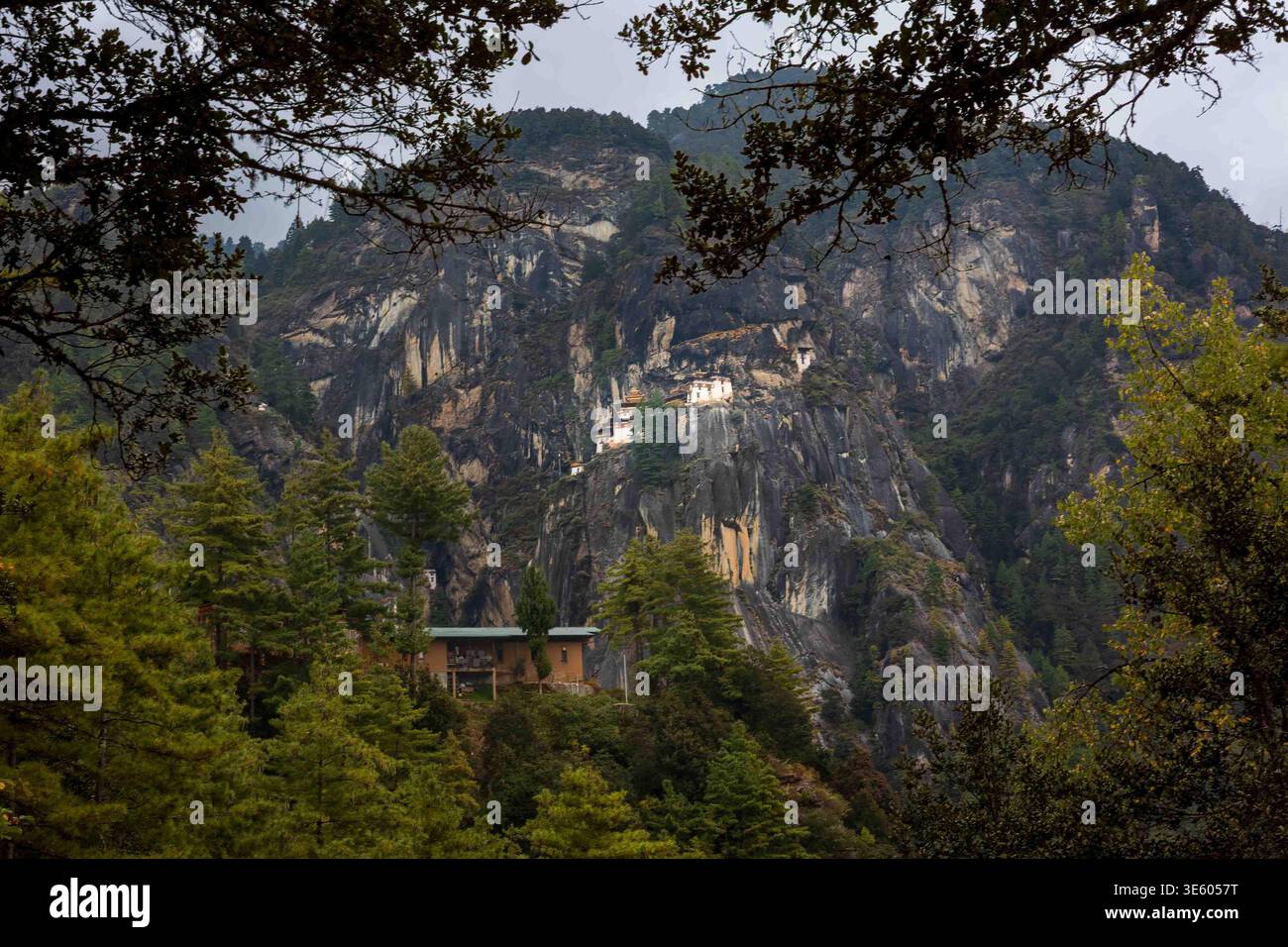 Tigers Nest Monastary, Paro Valley, Bhutan Stock Photo