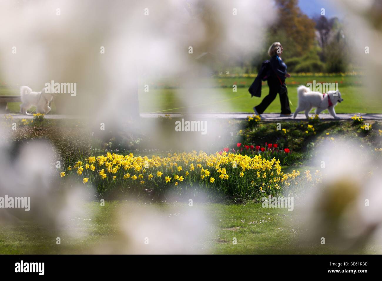 (260403) -- KAMNIK, April 3, 2026 (Xinhua) -- A woman visits a spring ...