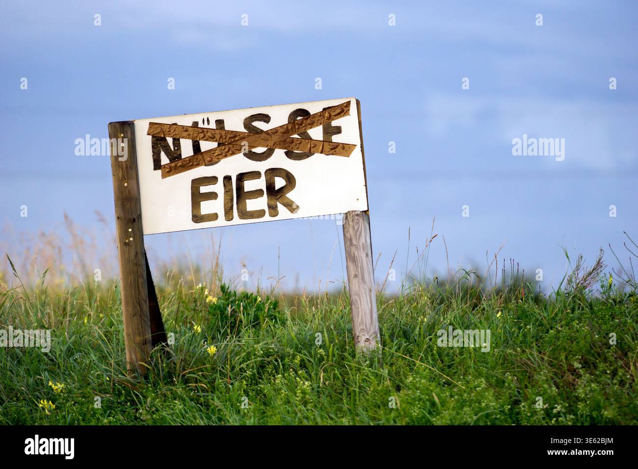 A wooden sign stands in a green field. A word is crossed out, and the sign is surrounded by tall grass. The sky is blue. Stock Photo