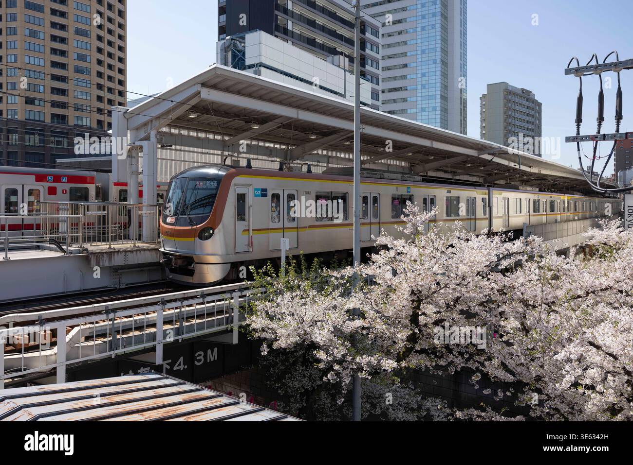 Nakameguro station blossom hi-res stock photography and images - Alamy