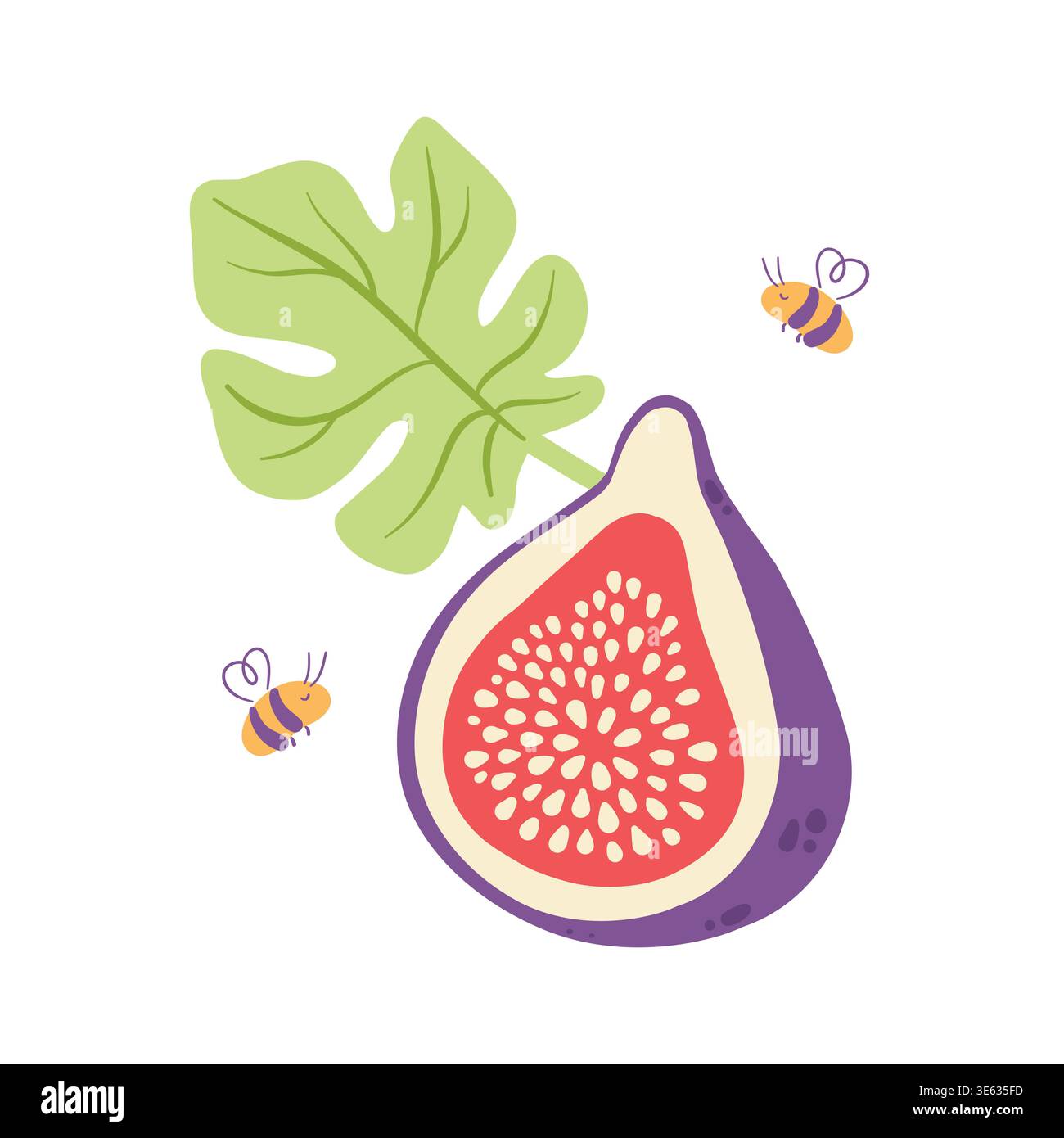 Cut fig with leaf and bees flat vector, organic fruit composition isolated on white Stock Vector