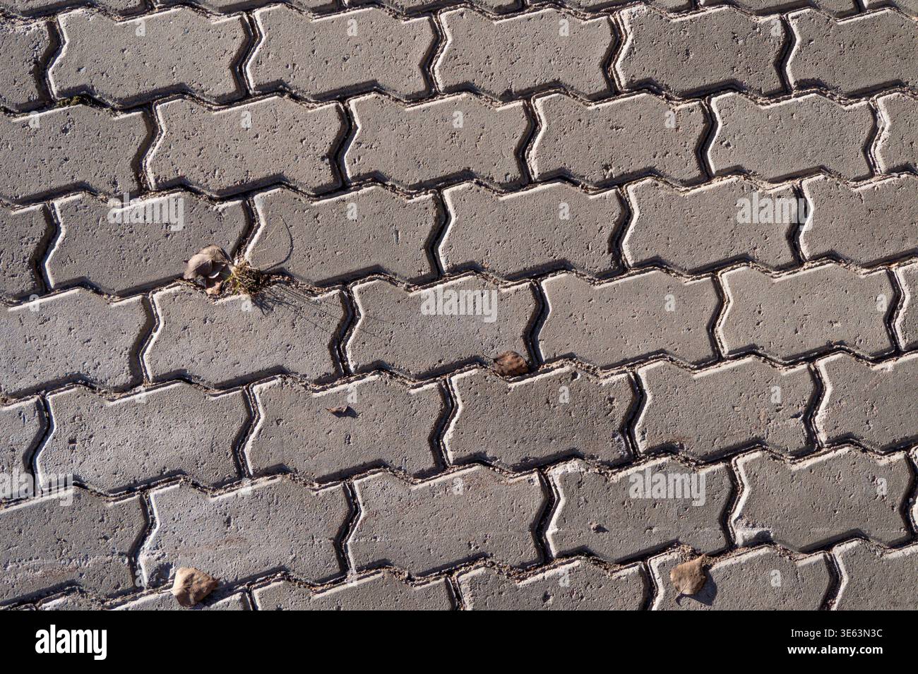 Interlocking concrete pavers in a wave pattern, texture, background. Stock Photo