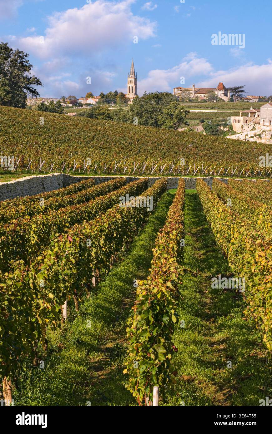 SAINT EMILION VINEYARDS BORDEAUX View of village and church spire of Saint Emilion from the vineyards vines of Chateau Troplong Mondot Gironde France Stock Photo