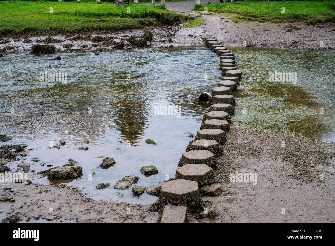 Picturesque Stepping Stones Crossing a Serene River in Lerryn, Cornwall, England Stock Photo