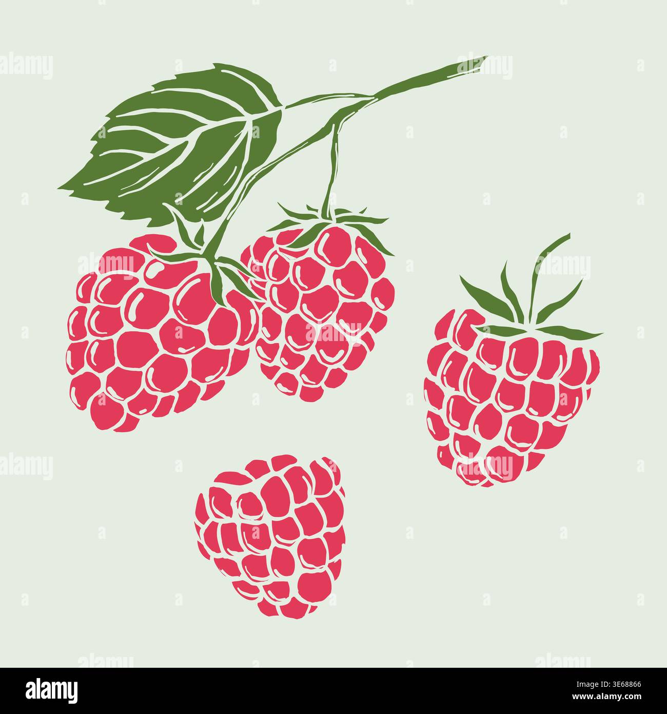 Postage Stamp With Raspberries Vector Illustration Stock Vector