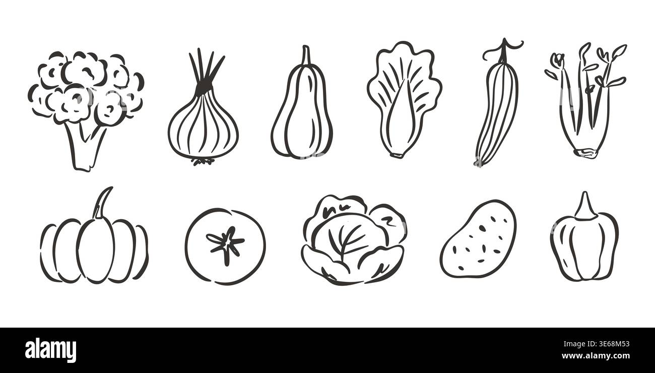 Hand drawn vegetable icons doodle illustration set Stock Vector