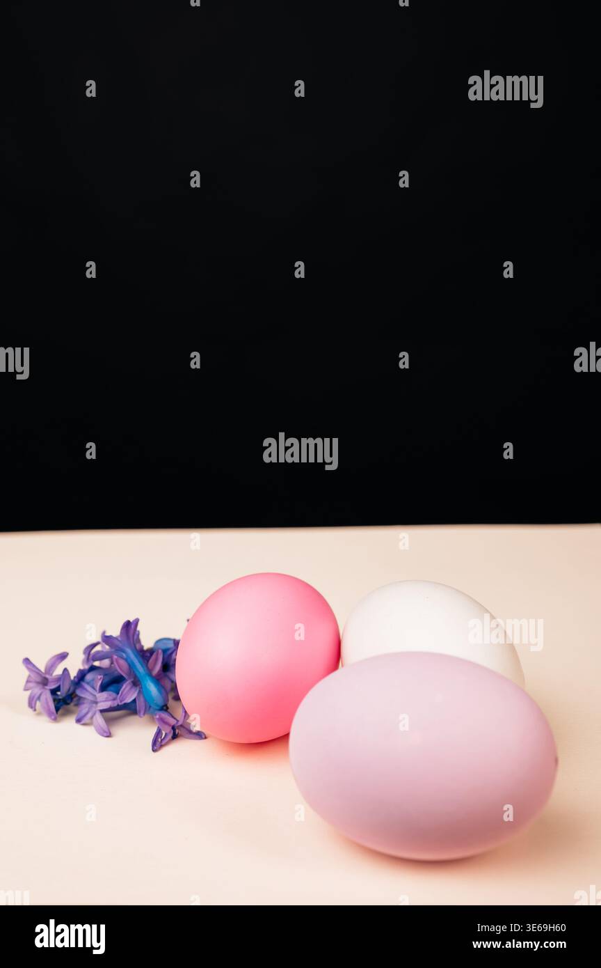 Stylish Modern Composition Featuring Easter Eggs And Hyacinth Blossoms Against Dark Backdrop Stock Photo