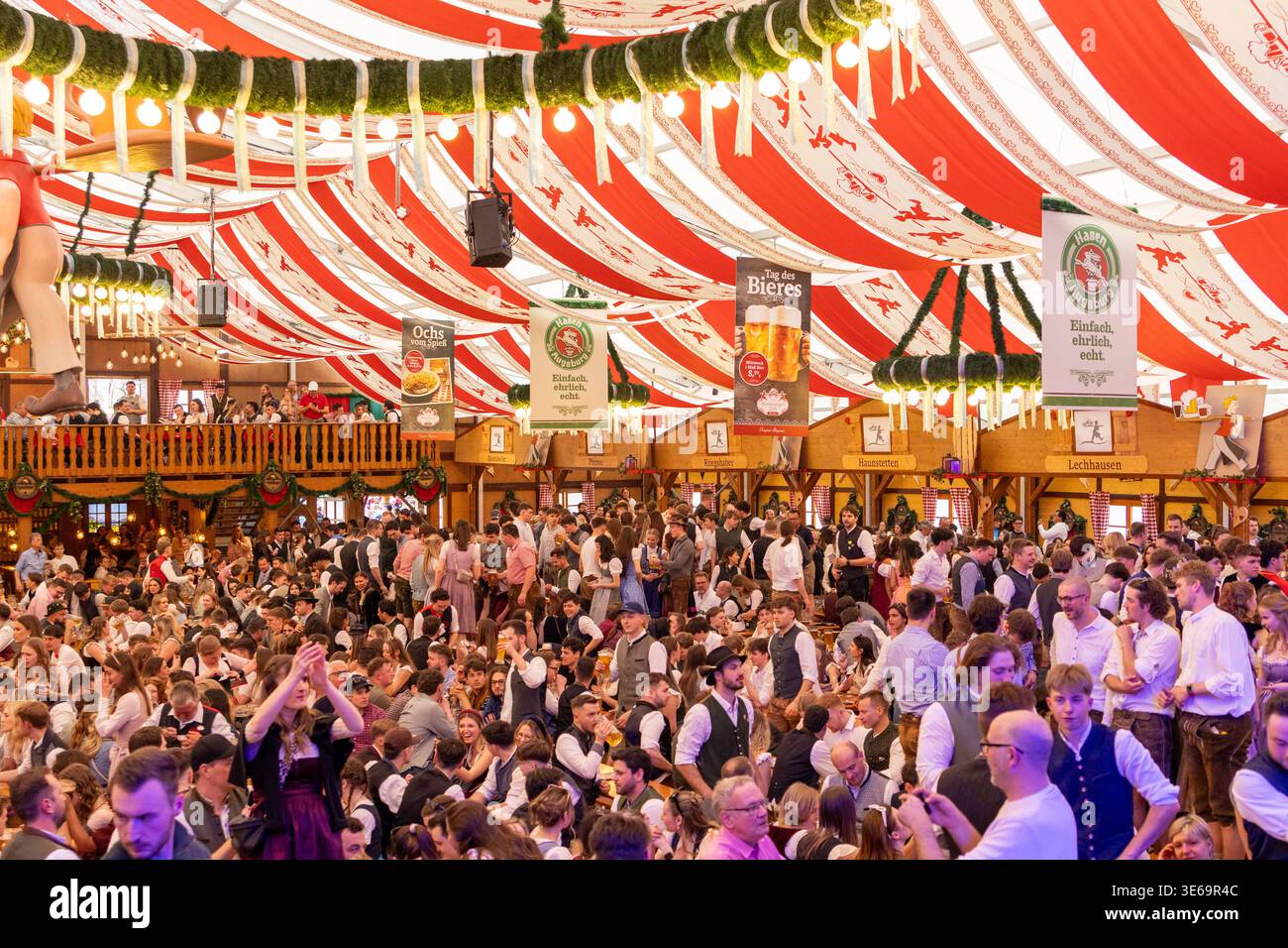 Festzelt Binswanger auf dem Augsburger Plrrer, Schwabens grtes  Volksfest, Augsburg, 27. August 2024 Deutschland, Augsburg, August 2024, Festzelt  Binswanger auf dem Augsburger Plrrer, viele Besucher, vor allem Familien,  bummeln bei bestem Sommerwetter