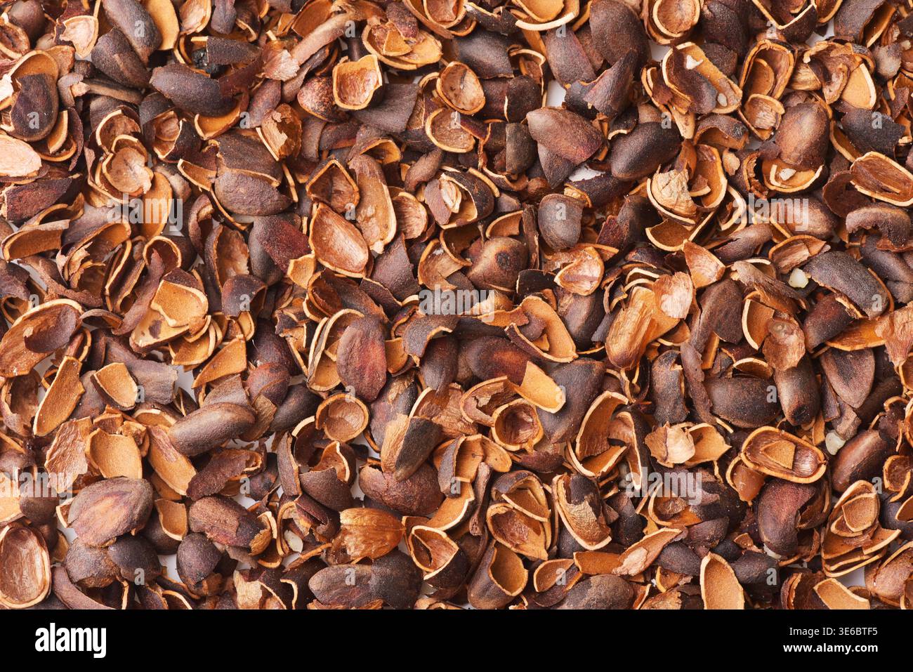 Top view of empty pine nut shells background Stock Photo