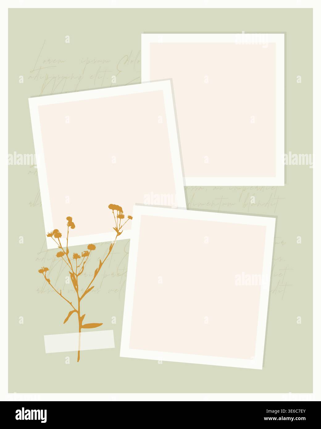 Minimalist scrapbook template with three blank photo frames, dried wildflower branch and washi tape on sage green background for social posts, moodboards and invitations. Vector illustration Stock Vector