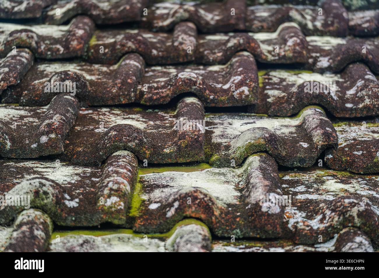 Aged Textured Terracotta Roof Tiles Stock Photo