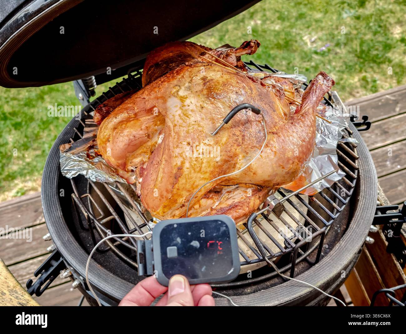 Large turkey roasting in kamado grill with temperature probes inserted, BBQ cooking process, outdoor grilling, meat preparation, thermometer control Stock Photo