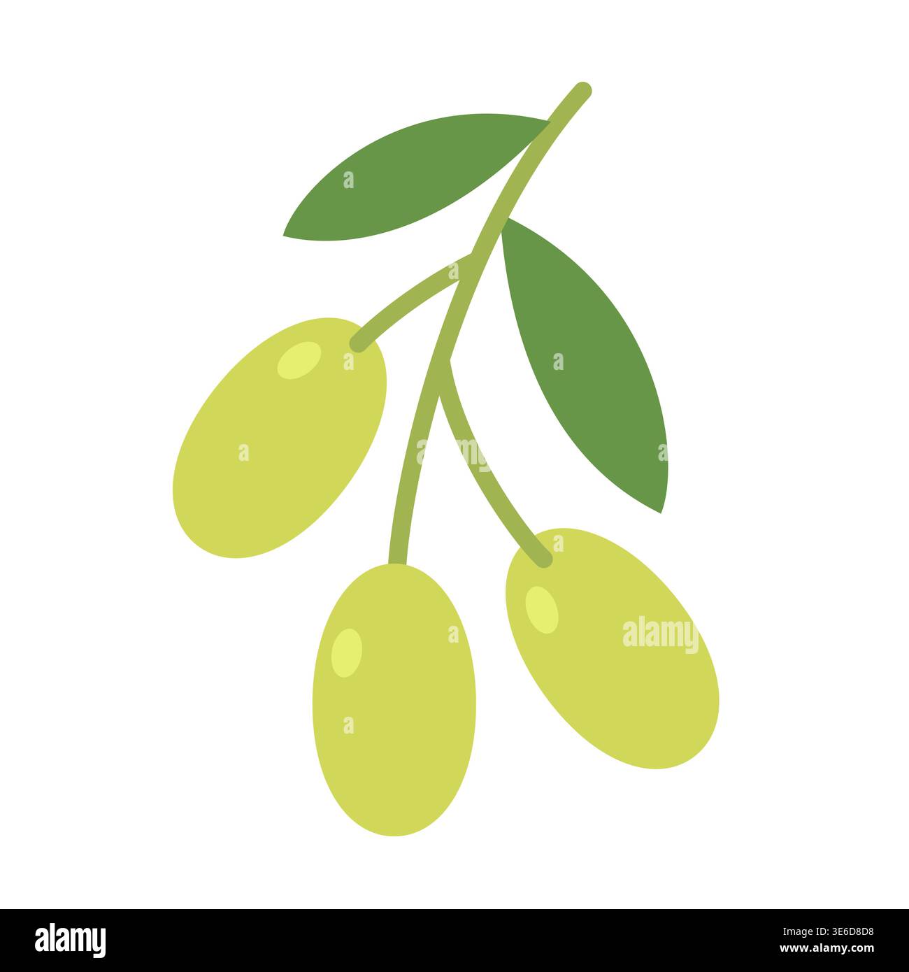 Cute flat design green olive branch with leaves and fruits vector ...