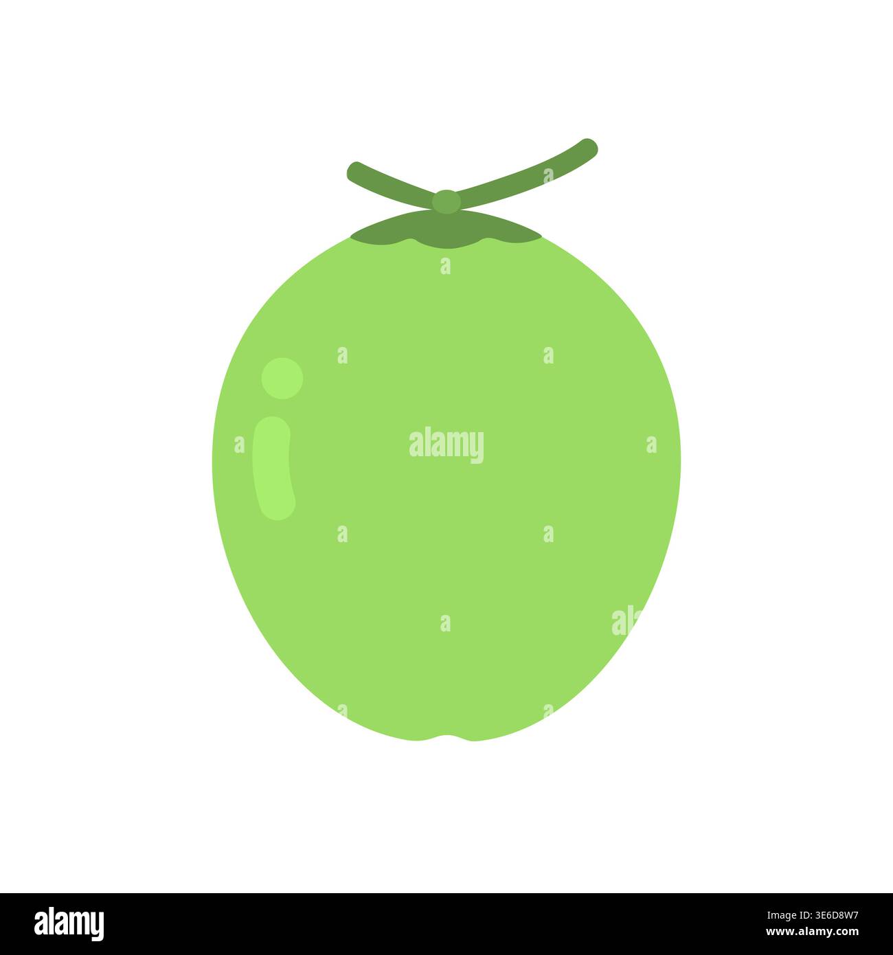 Cute flat design green young coconut fruit vector illustration Stock Vector