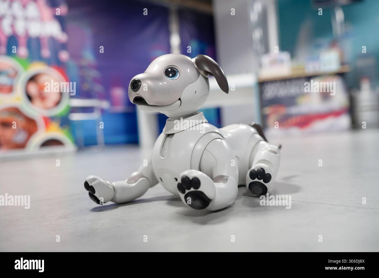 Sony Aibo robotic pet dog in white and black photographed on a