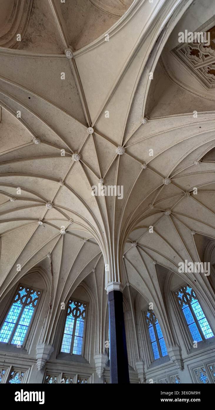 Rbed Structure Complex gothic ribbed vault ceiling with intersecting arches and ...
