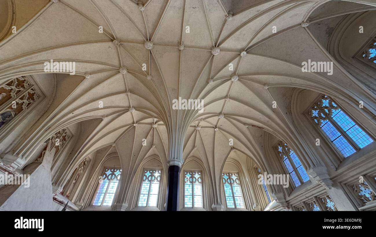 Wide view of gothic hall with complex ribbed vault ceiling tall windows ...