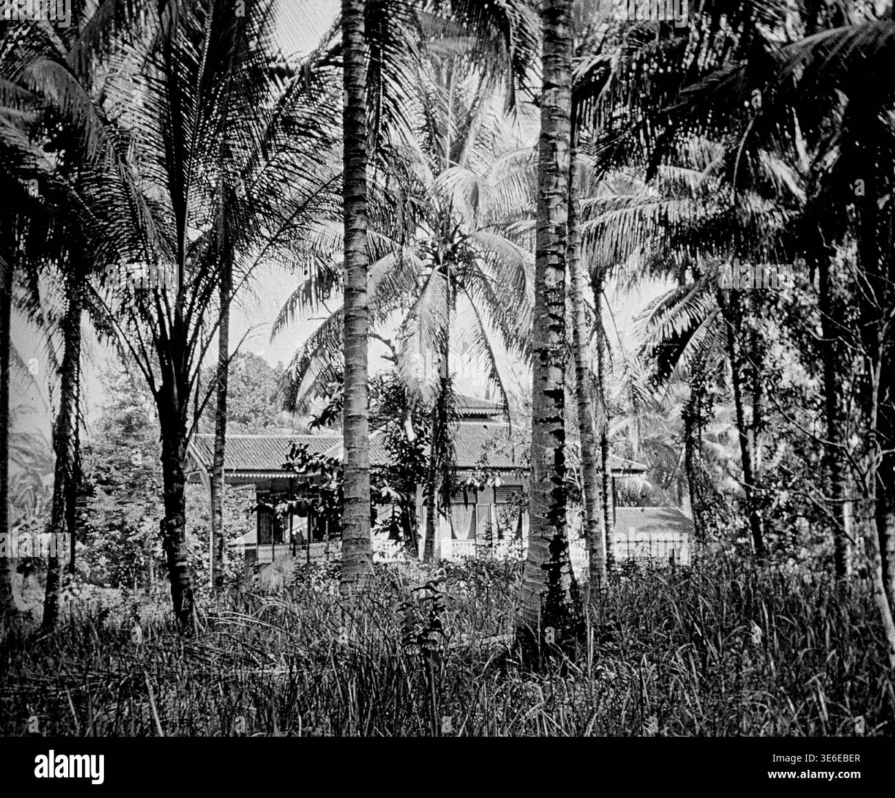 Remote Dutch Colonial house in the jungles in Deli Serdang, North Sumatra, 1927 Stock Photo