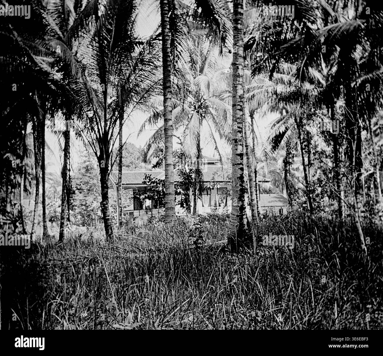 Remote Dutch Colonial house in the jungles in Deli Serdang, North Sumatra, 1927 Stock Photo