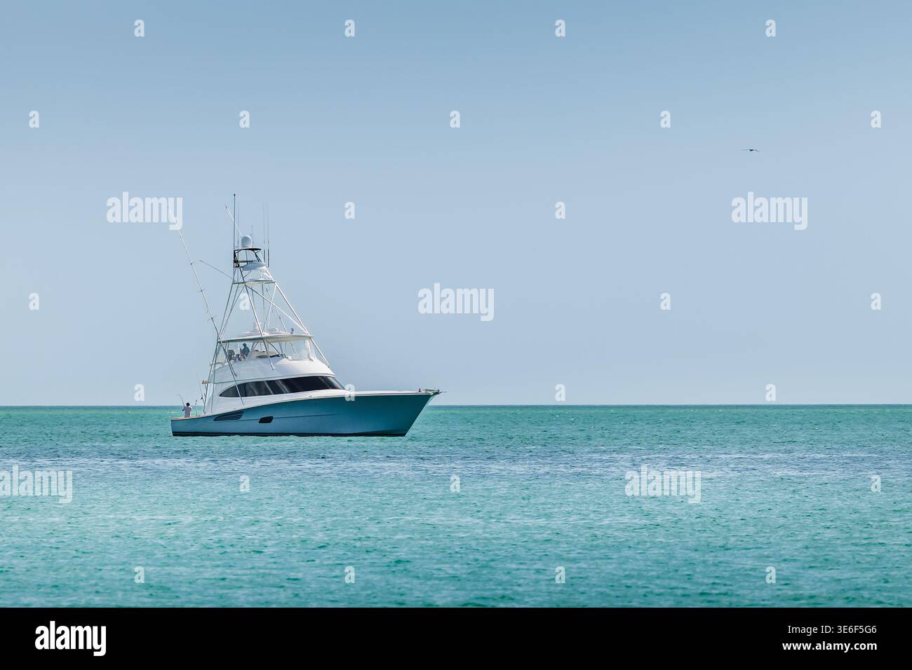 Offshore saltwater sport fishing boat on a sunny summer day. Fisherman on large powerboat on the Gulf of America, Florida. Stock Photo