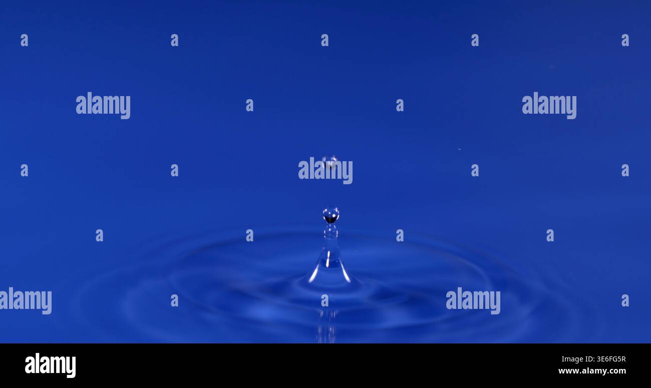 Water droplet falls into blue surface creating ripples and splashes in clear liquid Stock Photo