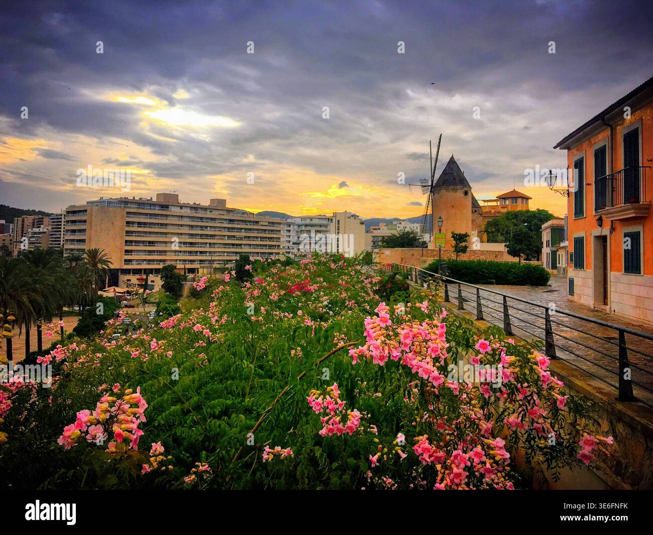 Sa llotja la lonja de palma hi-res stock photography and images
