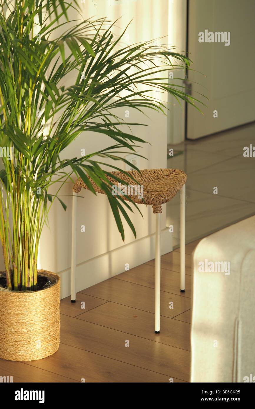 Indoor plant and small wicker stool by the wall Stock Photo