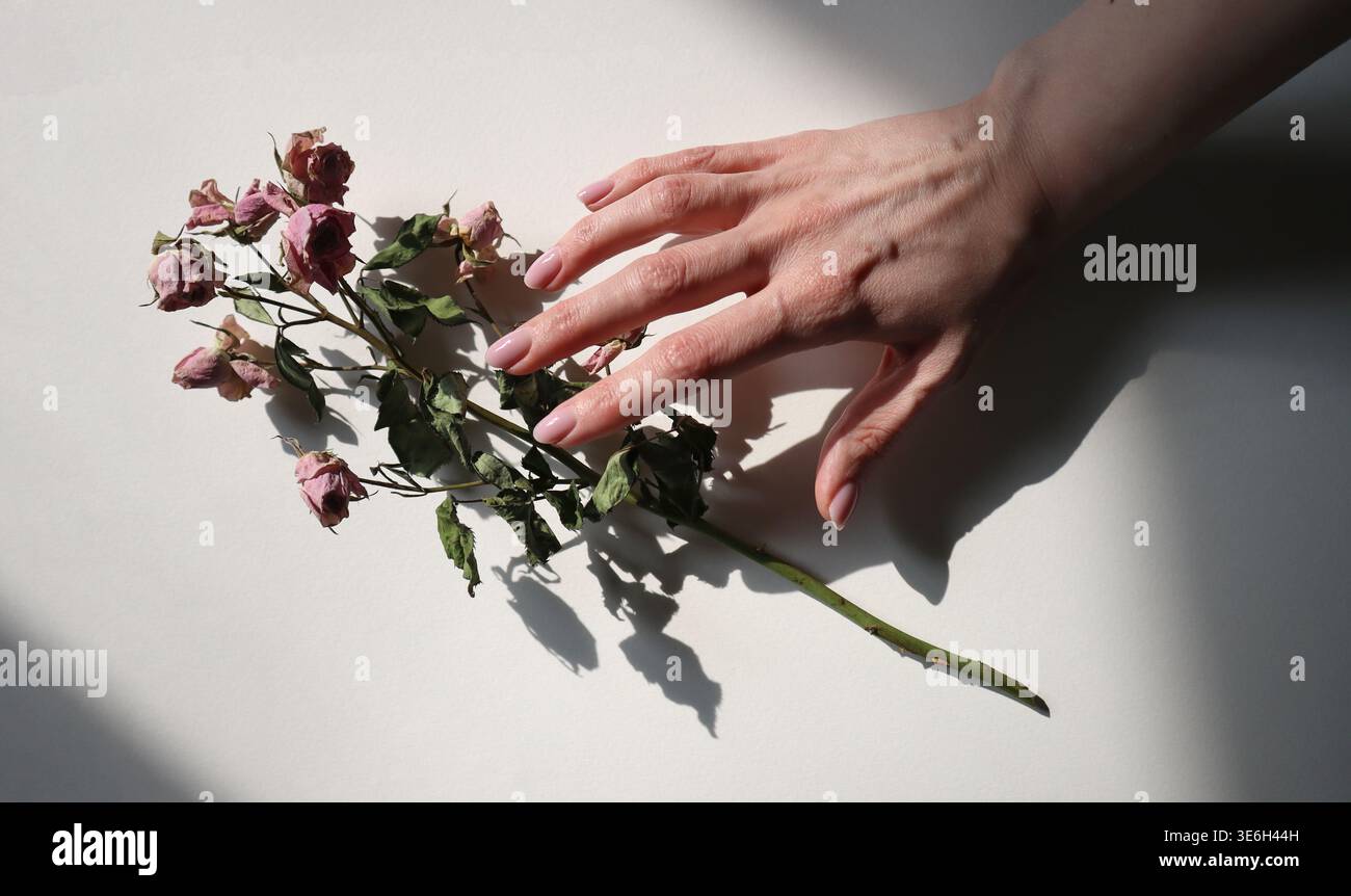 A hand gently reaches for a bunch of dried flowers placed on a flat ...