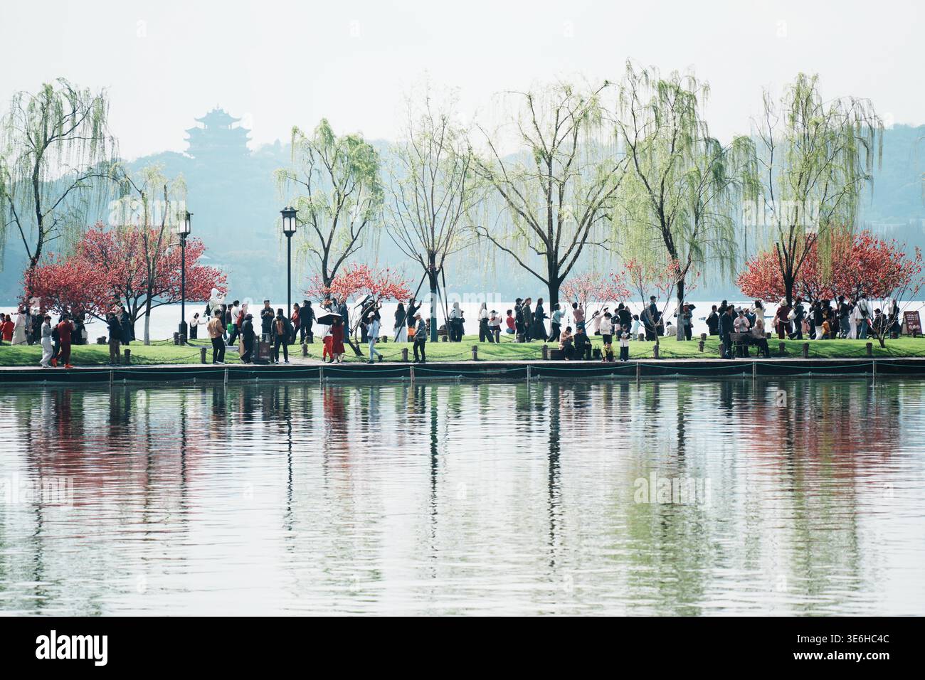 Spring In Hangzhou Tourists enjoy the spring scenery of peach blossoms and willow greens ...