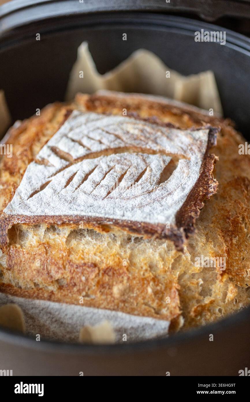 A freshly baked artisan sourdough loaf resting in a cast iron pot lined ...