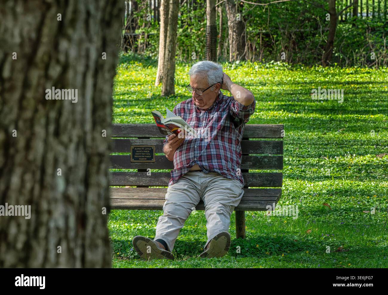 A man reading a book on a park bench Stock Photo