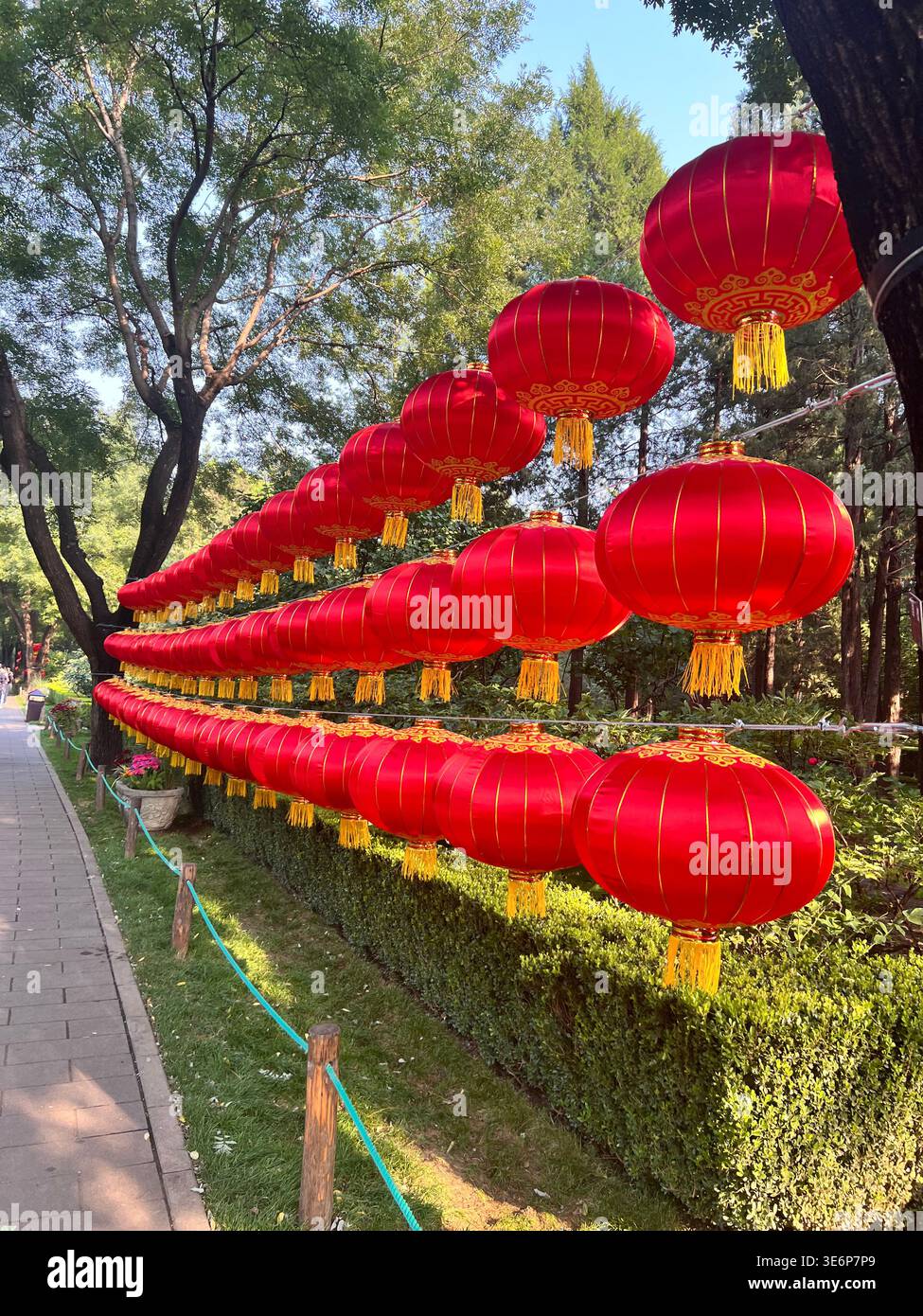 Rows of red Chinese lanterns along a landscaped park walkway in Beijing, China. - Smartphone Captured Stock Image